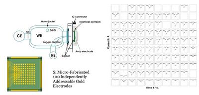 High Throughput Screening of Electrochemical Behaviour