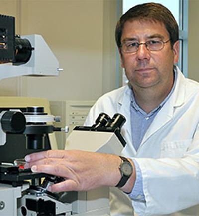 Professor Philip Calder