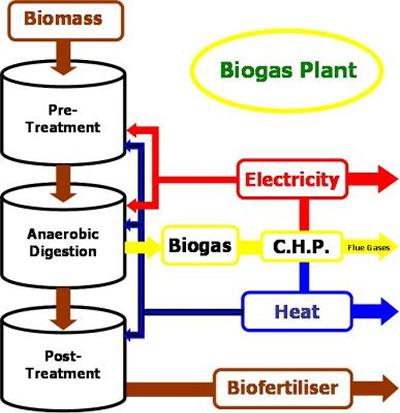 Biomass to energy schematic