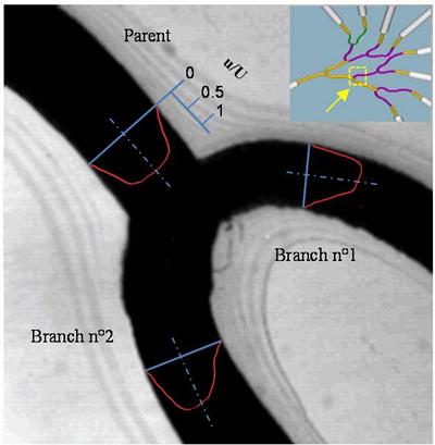 Simulation and experiments of flow through micro-networks.