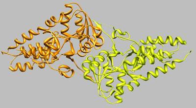 of eIF2B alpha subunits