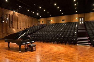 The Steinway D in Turner Sims (image: Paul McCabe)