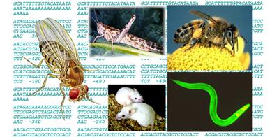 essential for functioning brains and nervous systems