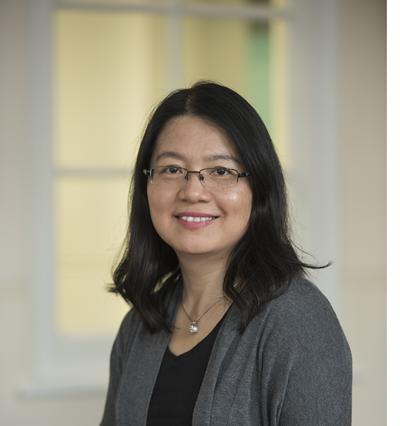 Director of Confucius Institute