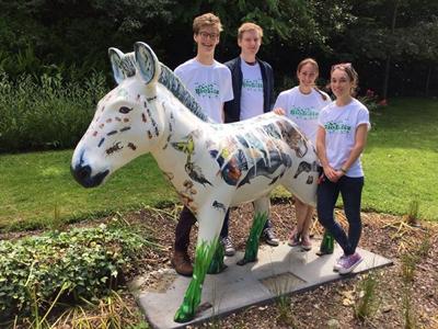 Zebraversity in Valley Gardens