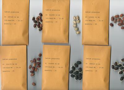 Variation in seeds