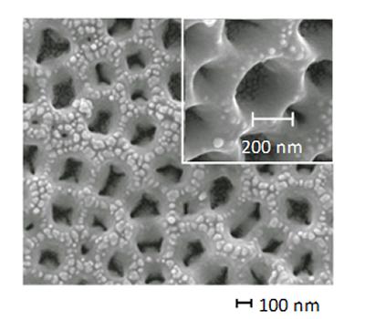 Gold coated titanium nanotubes produced by anodisation used for the direct oxidation of borohydride ions