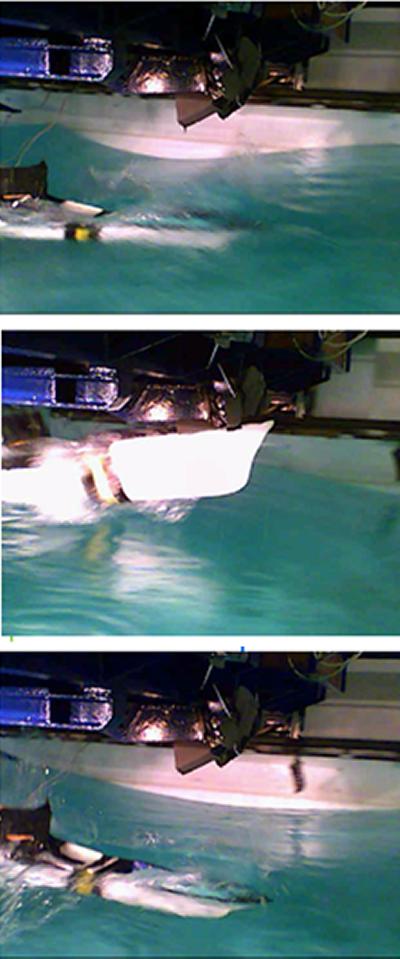 Hydroelastic ship model testing in freak waves