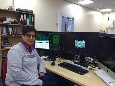 'The main theme to the research in my group is the use of computational techniques to explore the structure-function relationships of a range of biological molecules and systems.'