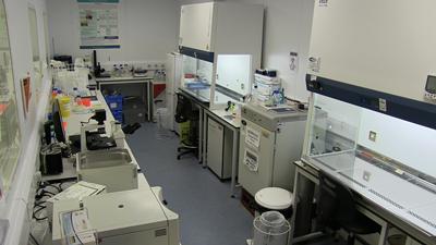 Cell Culture Suite