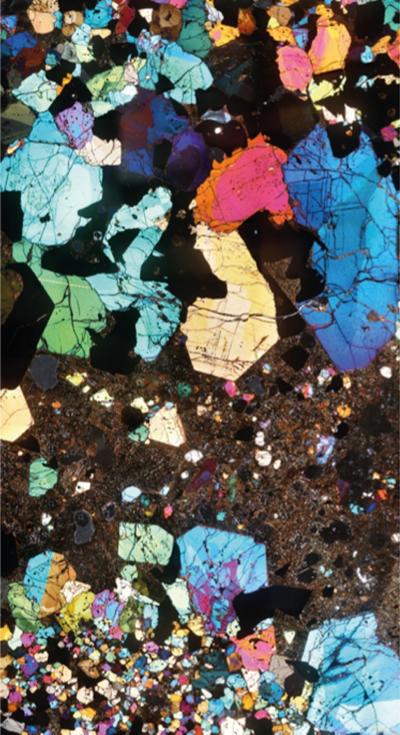 Petrological microscope view of a magma mush 