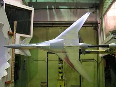 Wind-tunnel testings of the TCR model in TsAGI (Russia)
