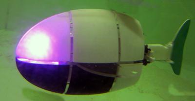Bio-inspired Robots