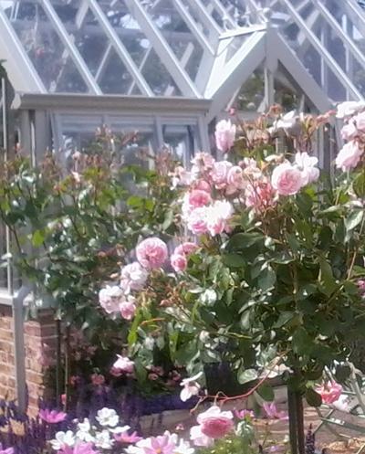 Issue  1-12 Summer 2015