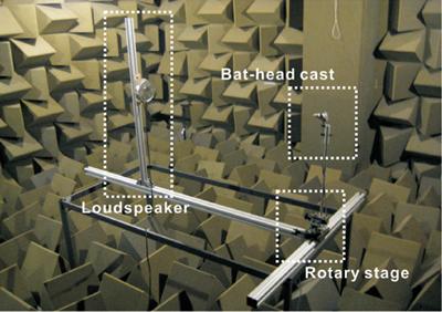 Image of recording apparatus