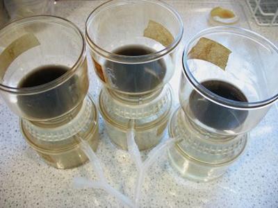 Example of soil filtration for bacterial studies
