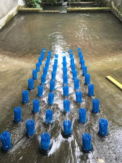 Fish pass