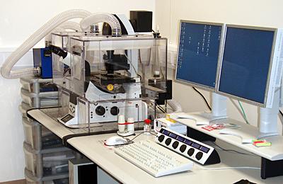 Leica TCS-SP5 Confocal Microscope