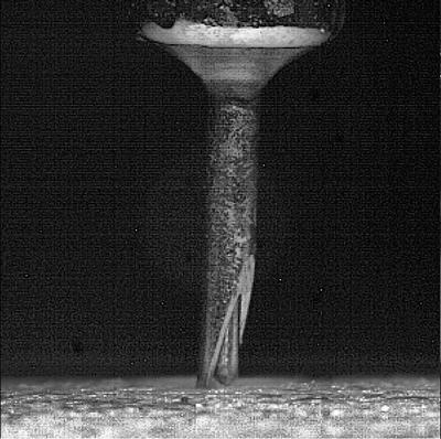 Indentation of Bone using the Biodent Device