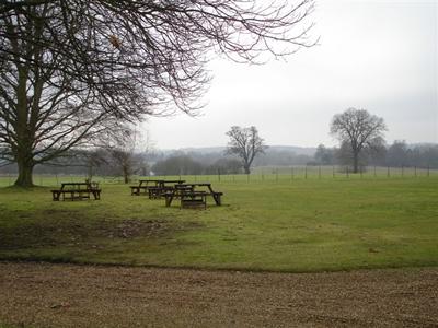 Our Saturday afternoons are always kept free, and used for walking in the beautiful surroundings of the Great Park, for trips to nearby Windsor, or for personal study at the Lodge.