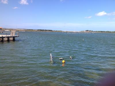 Benthic Roughness Acoustic Device (BRAD v.2.0) deployed in the main channel of Cabras Lagoon, Sardinia
