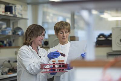 Researchers working in a laboratory