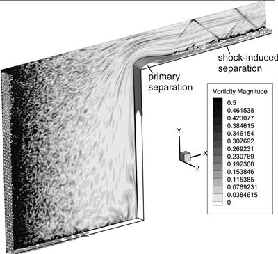 Direct numeric simulation of a transonic tip flow with free-stream turbulence[4]