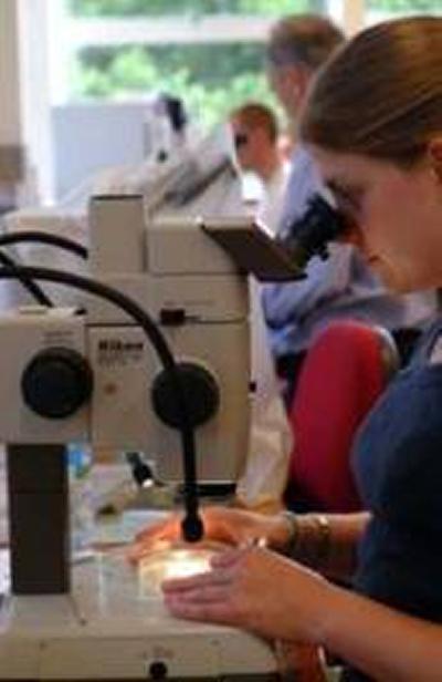 The Geography Palaeoecology Lab