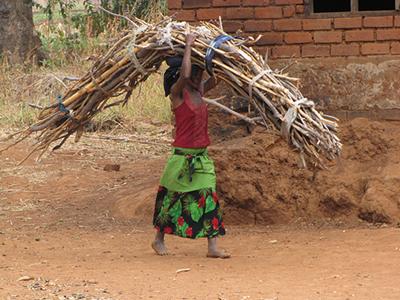 Rural women in Malawi spend many hours collecting firewood