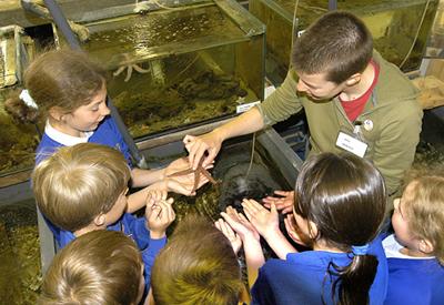 Aquarium visit