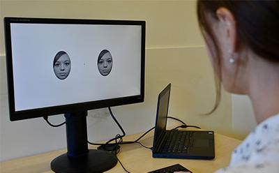 Face processing study