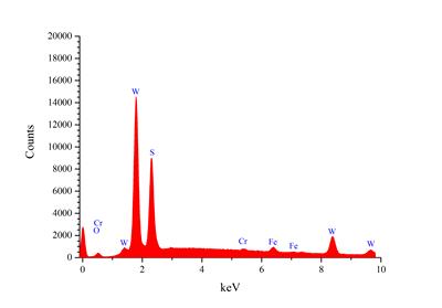 EDS spectra of WSC coating