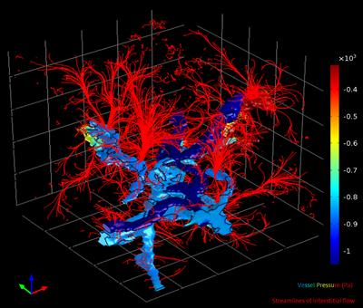 3D model simulation result for an exemplary section of lung tissue