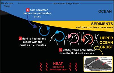 Fig. 2. Ridge flank hydrothermal CCV formation (After Coggon, 2011).