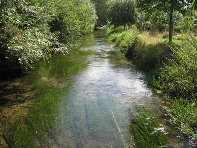 A classic chalk headwater stream providing ideal conditions for watercress farms and trout fishing