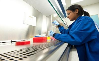 Tissue Culture