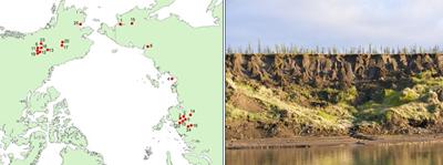 Study locations (right: a photo of site 8 in NE Siberia)