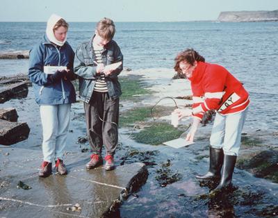 Undergraduate fieldwork