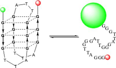 and their interaction with ligands