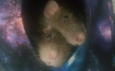 Nubo and Nimbus