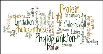 Word cloud