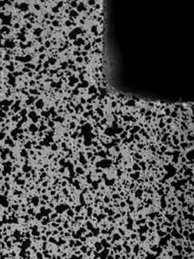 Speckles on joint