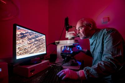 Professor Bill Keevil