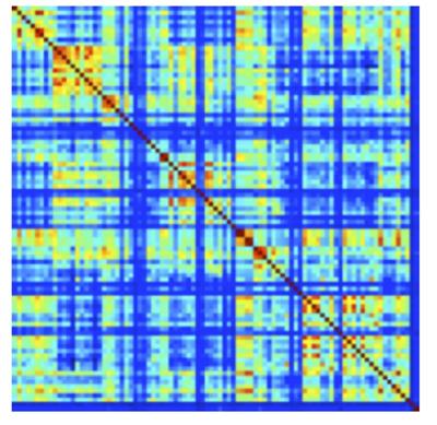 Estimate of information exchange between different brain regions