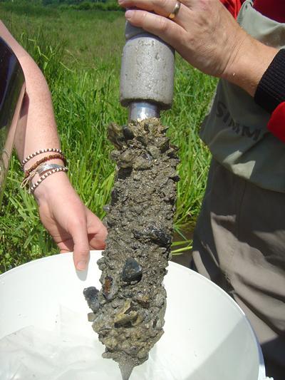Core from a chalk stream