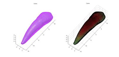 Canine visualisation