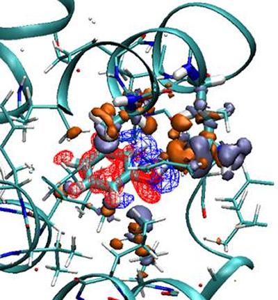 Protein drug complex