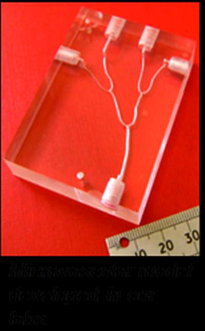 A micro-vascular model developed in house