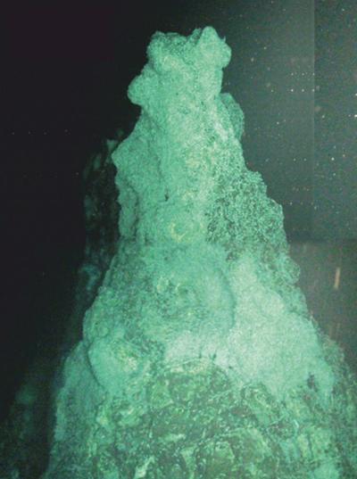 The main vent at the Von Damm vent field