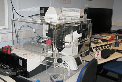 Leica TCS-SP8 Confocal Microscope